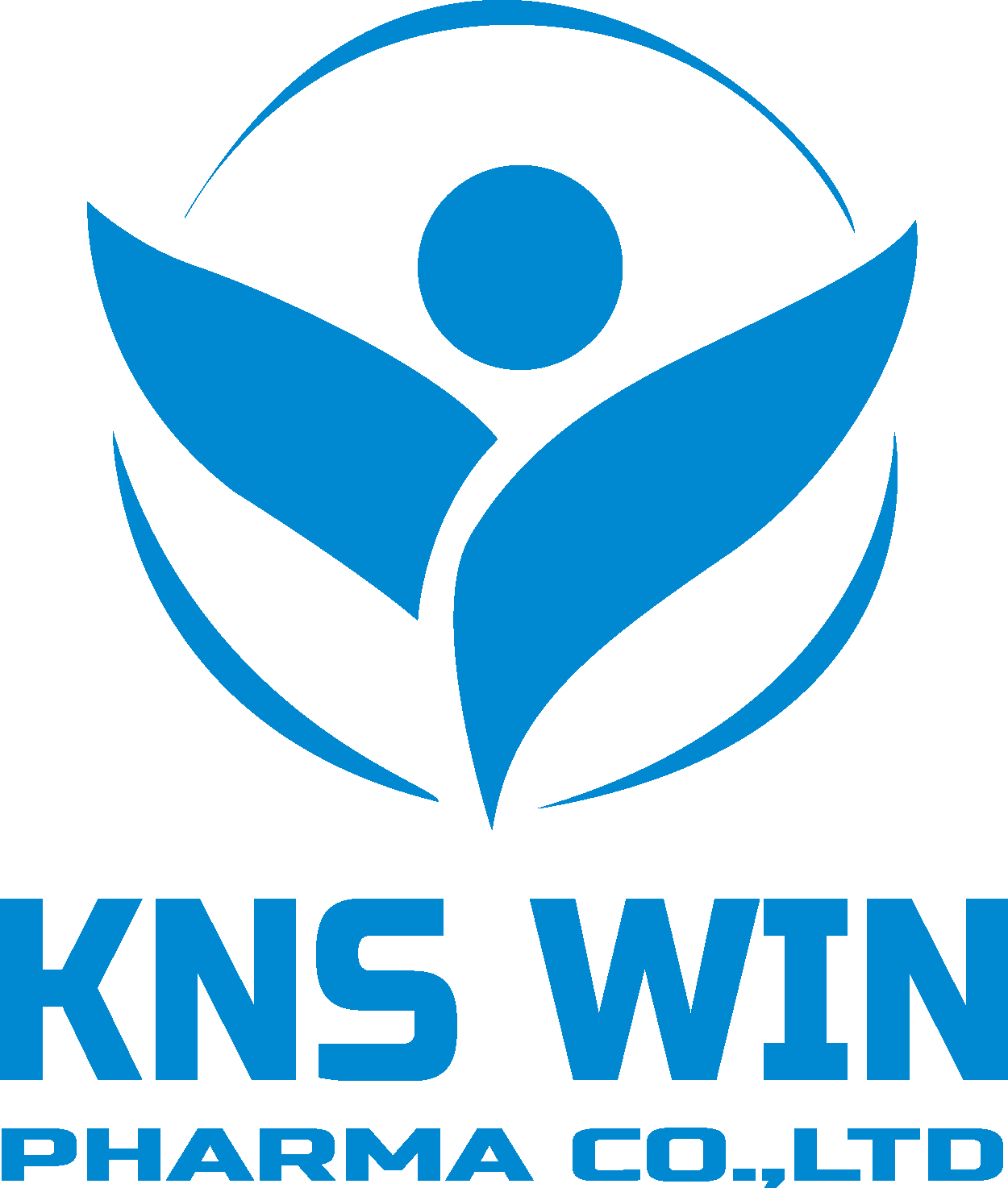 KNS WIN Logo